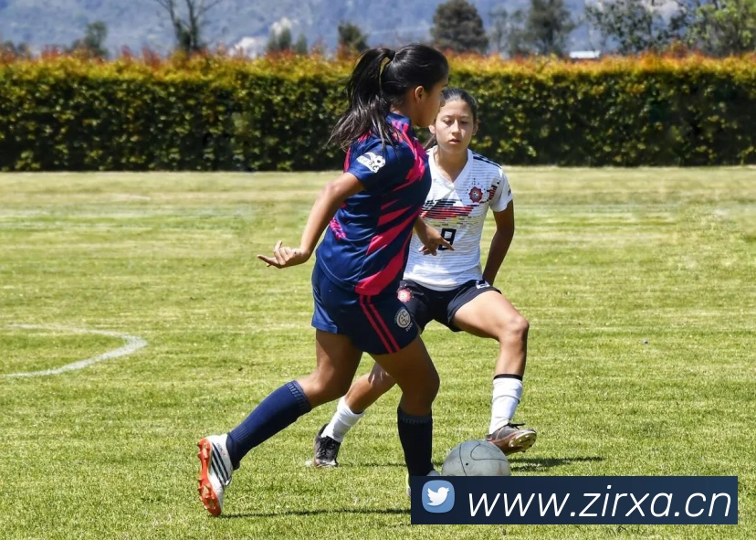 leyu乐鱼登录入口APP 体育赛事宣传图